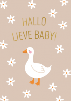 Minikaartje Hallo Lieve Baby