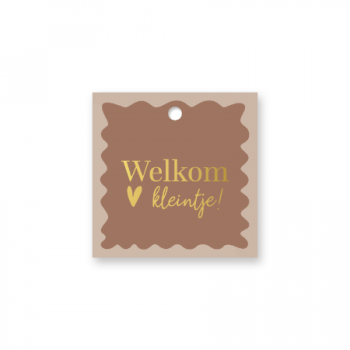 Cadeaulabel Welkom kleintje