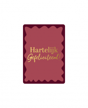 Minikaartje Hartelijk Gefeliciteerd!!