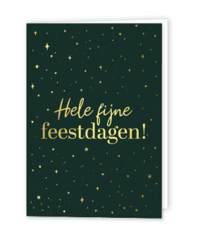 Dubbele kaart met envelop Fijne Feestdagen